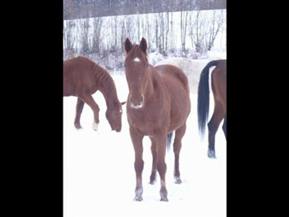 neige neige neige