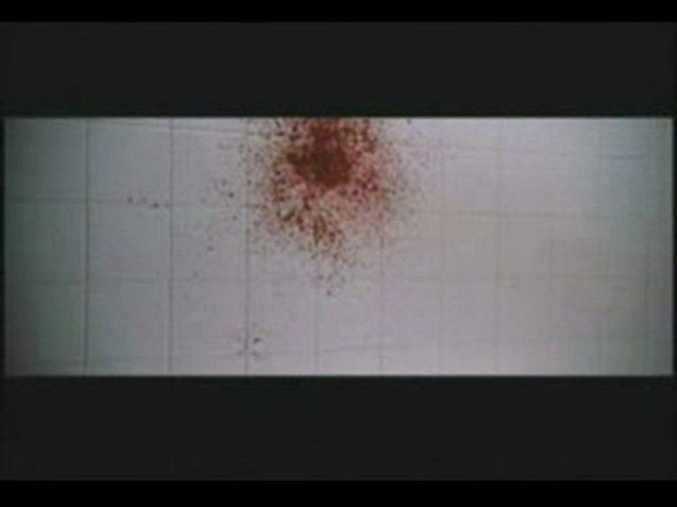 American beauty en 5 secondes... ou presque