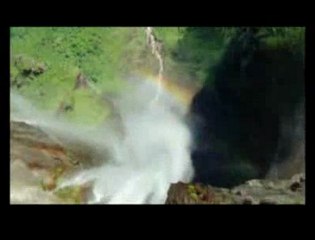 Un jour sur terre. Toute la beauté du monde