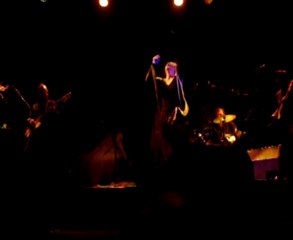 Sapho Maman j'aime les voyous