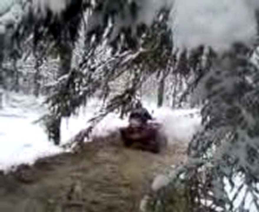 QUAD SUZUKI