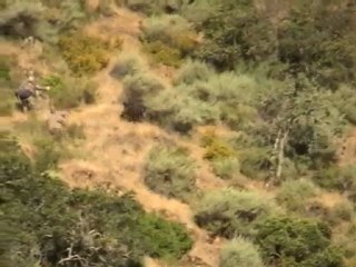 Chasse au sanglier en corse