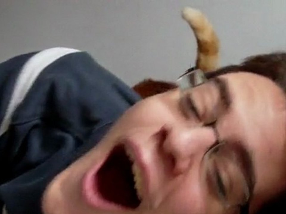 Cat Apulte