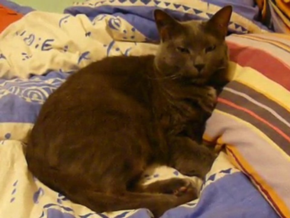 Jeu de regard subtil avec Chips