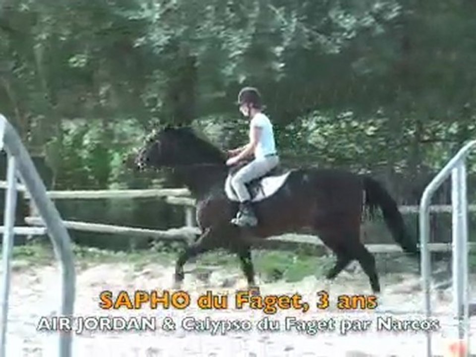 Mon cousin Sapho du Faget (3 ans)