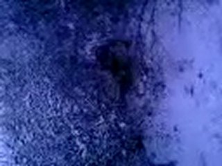 le cache-cache: le retour