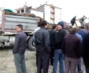 ceviz fidan destek dagitim