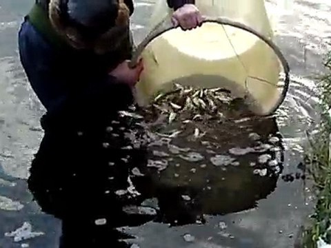 Rempoissonnement2 blanc 19-12-09 Montigny-en-Gohelle