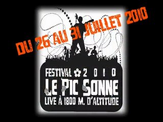 Pub 2010 "le pic sonne"