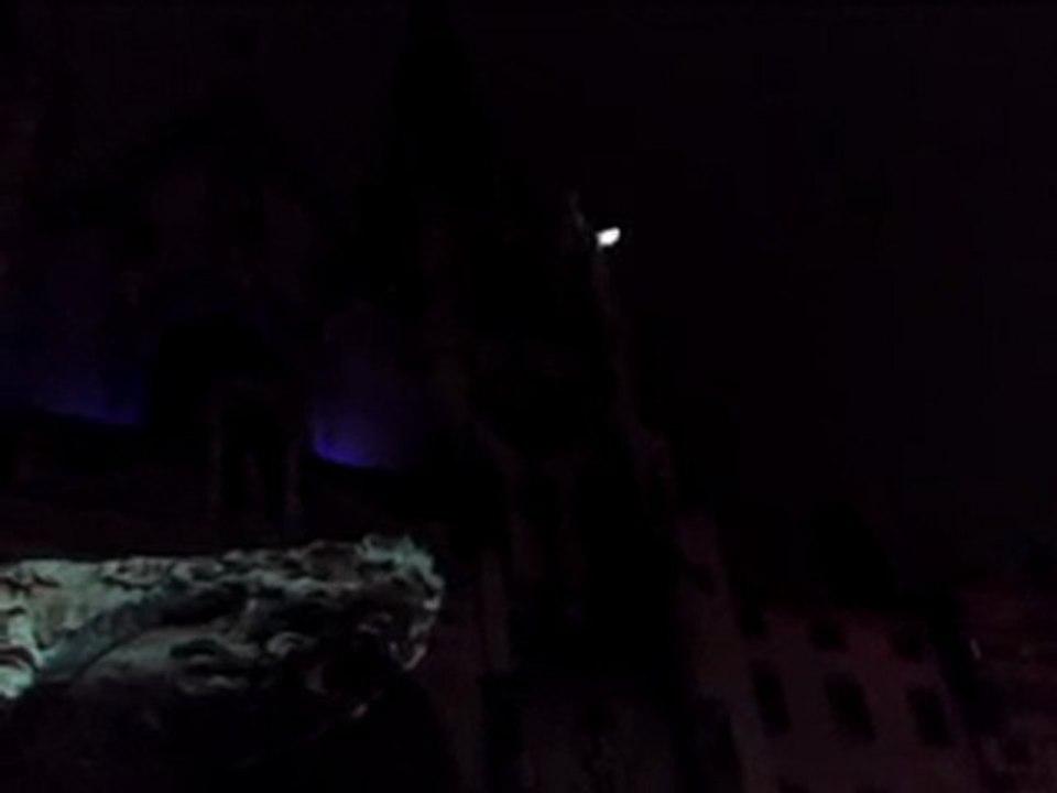 Lyon fête des lumières 2009