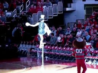 Red Panda Acrobat Half-time Performance