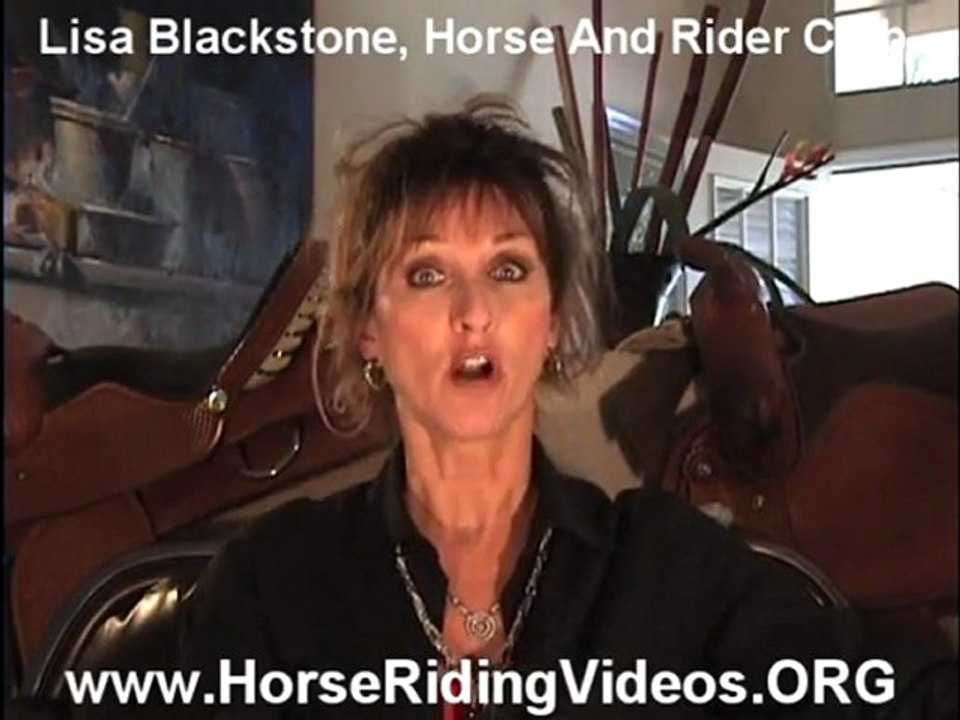 The Best Horse Riding Videos About Horses On The Trail