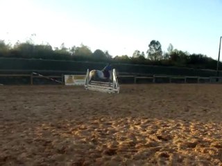 Lady D'Auvergne &é Moa !