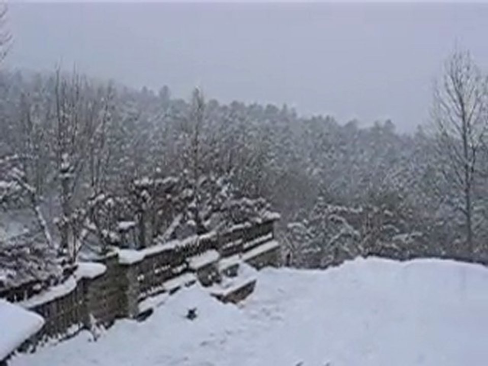 MVI_0125
