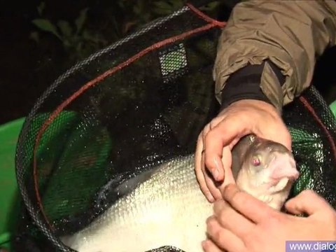 Истринское водохранилище - ловля крупного леща ночью