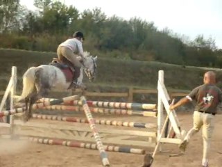 Lady D'Auvergne &é Moa ! 1Mo5