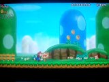 New super mario bros wii w.t 2