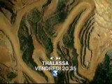 Bande Annonce Thalasssa Nouvelle-Calédonie