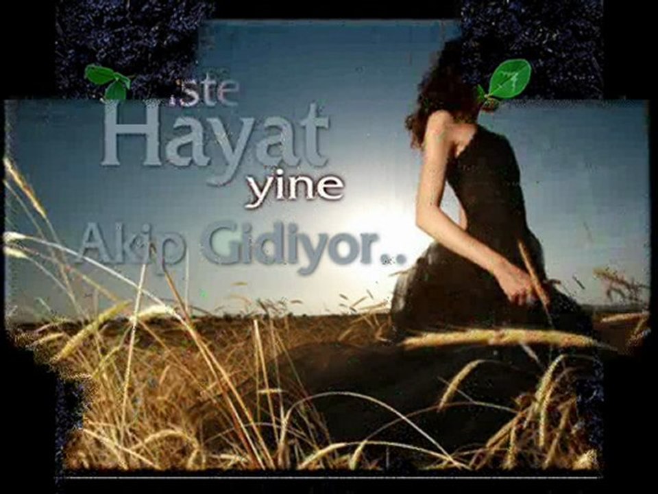 yürek yaram..yıldız tilbe (gül dal)