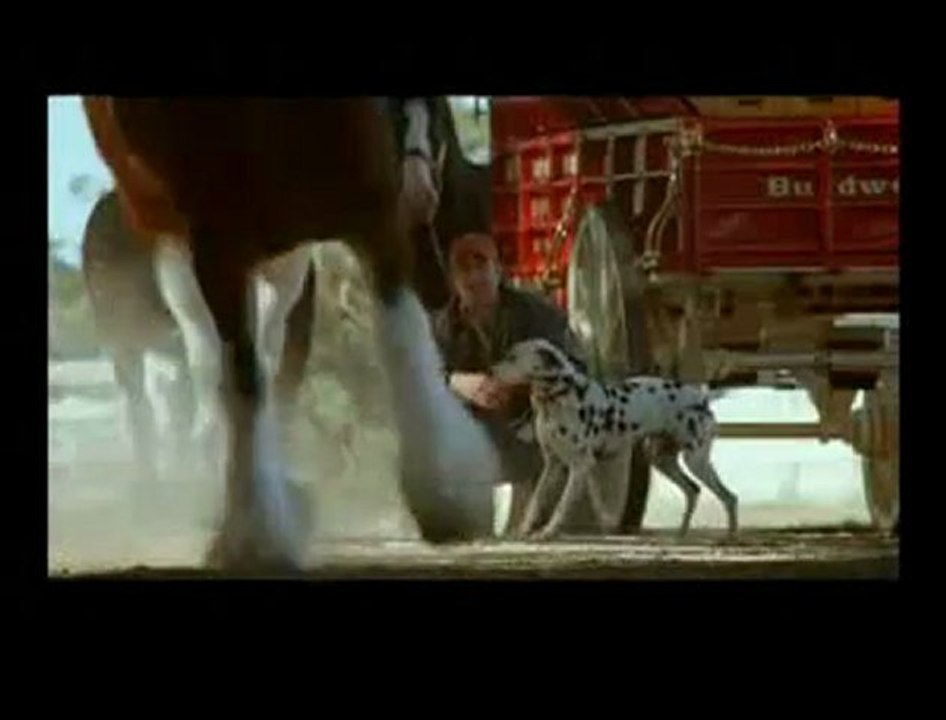 Une pub Budweiser pour le Superbowl