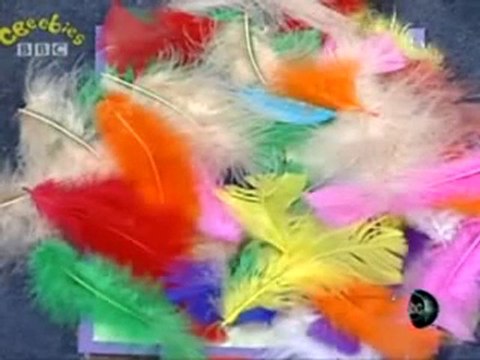 Une animatrice handicapée crée la polémique (BBC)