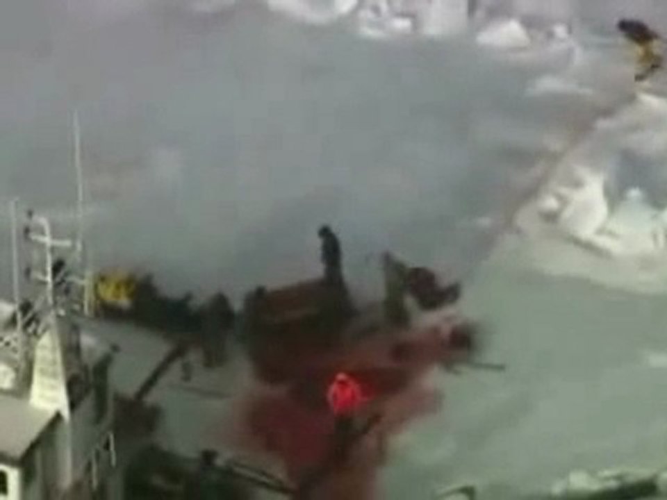 Polémique sur la chasse aux phoques (vidéo)