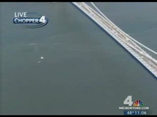 Une baleine dans le port de New York