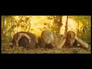 La bande-annonce d''OSS 117 : Rio ne répond plus'