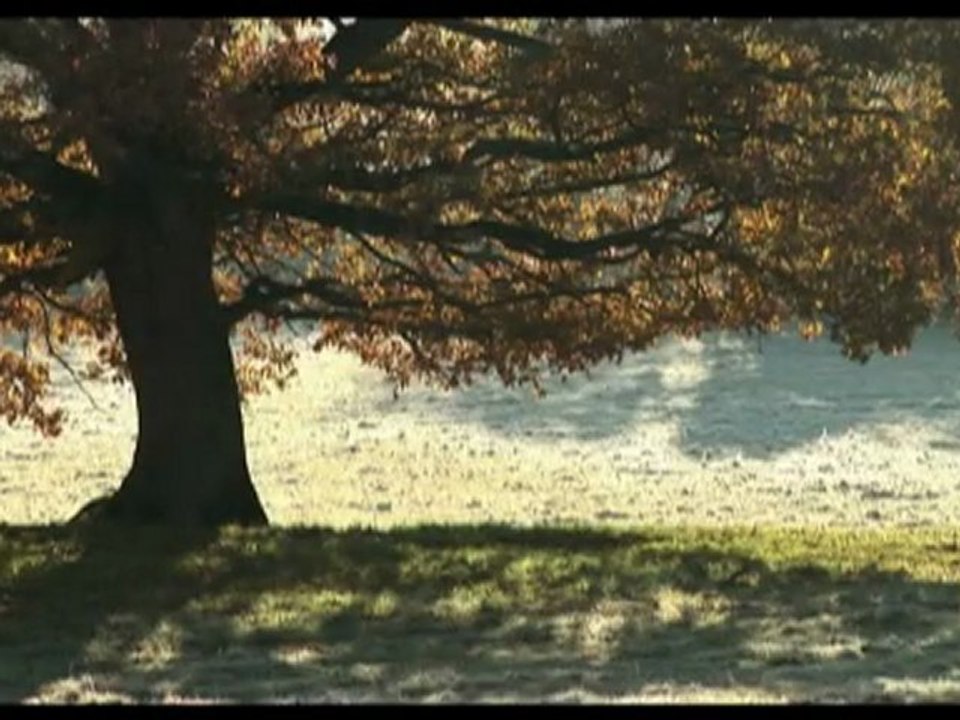 Mamellor Elevage sur Caillebotis old ok