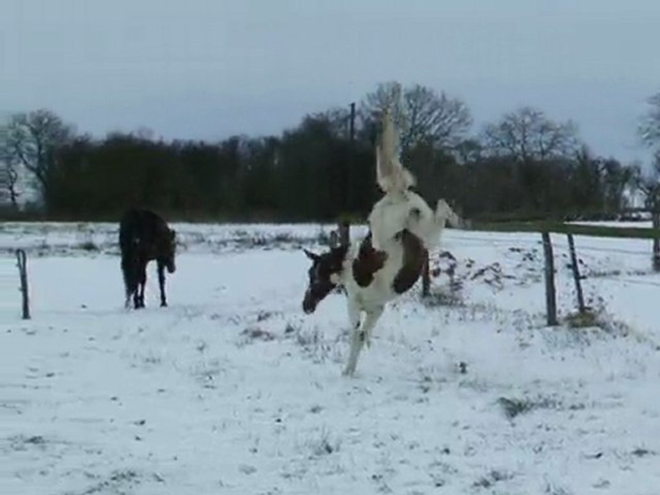 Urkaane se roule dans la neige