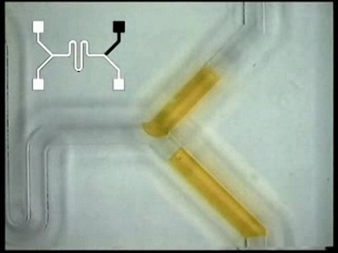 La musique comme moteur