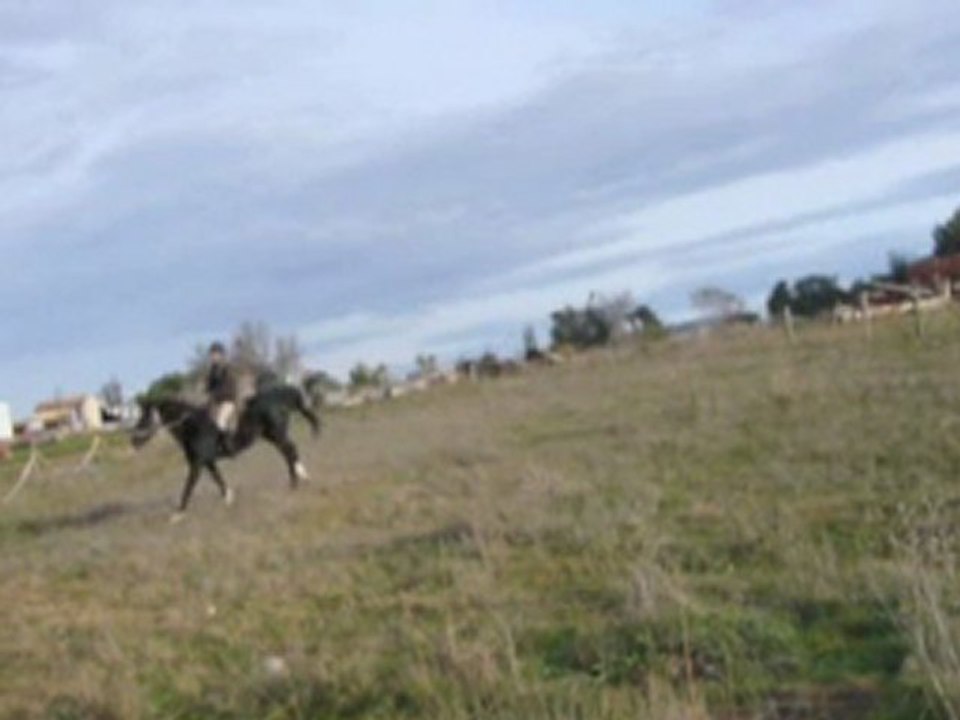 Charlie en carrière 1