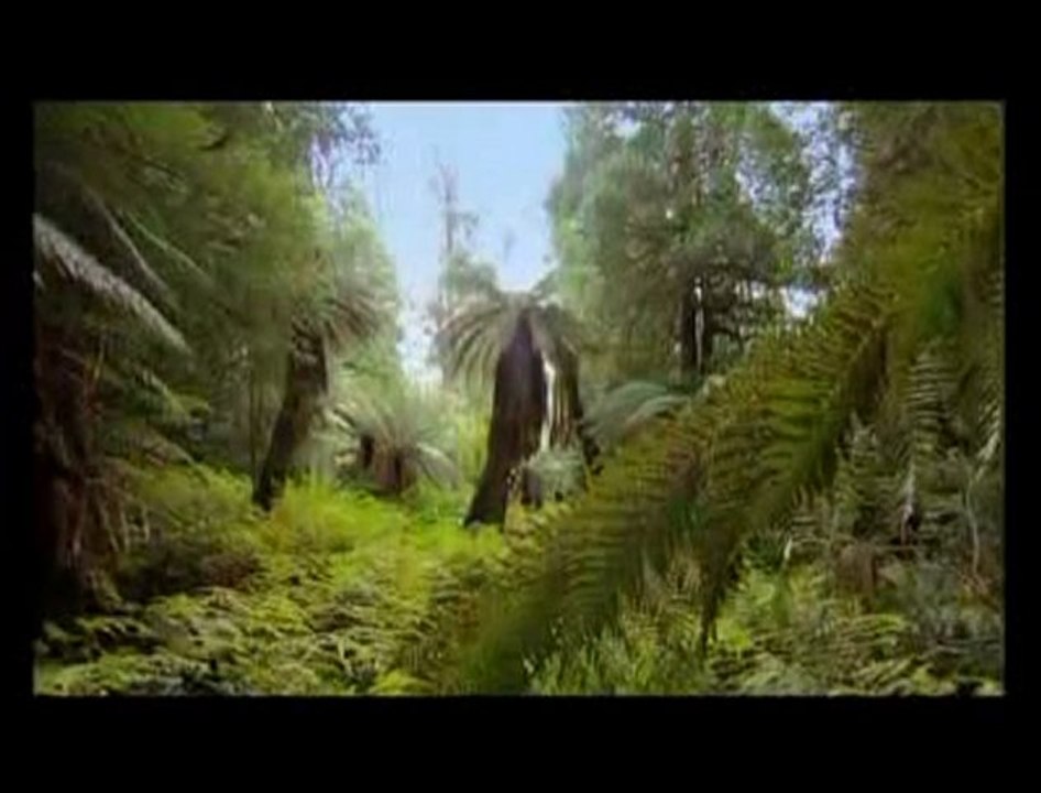 Bande annonce vu du ciel