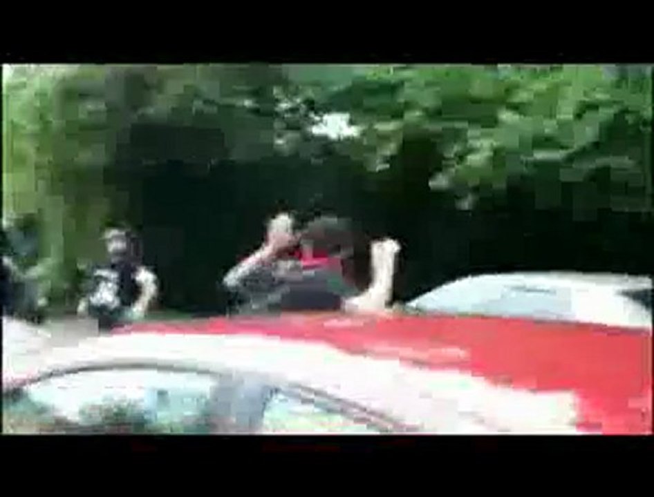 Arrestation musclée au G20