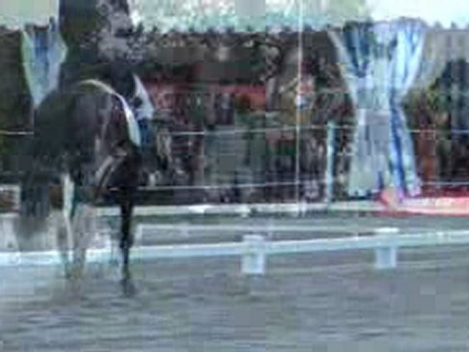 Les étoiles de Pau 2009 : Dressage****, morceaux choisis.