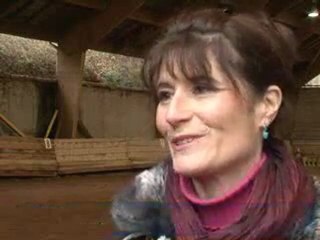 Salon du cheval: un animal aux vertus insoupçonnées