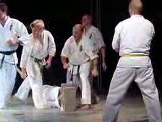 Festival des Arts martiaux:  Karaté Kyokushinkai