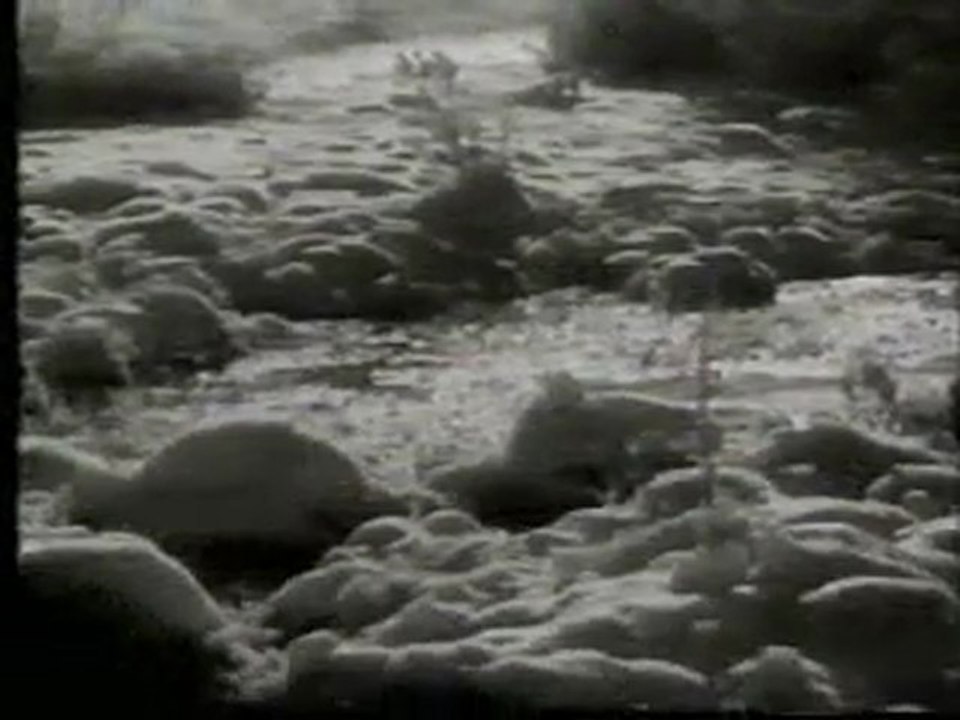 Weihnachten in Wochenschauen