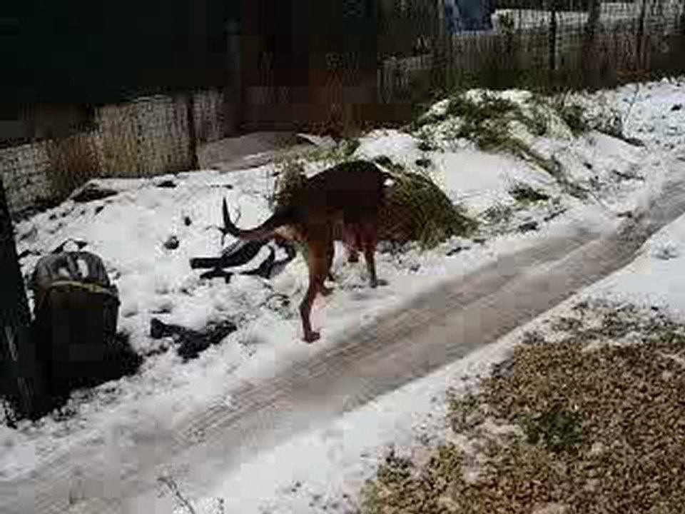 Espoir découvre la liberté sans sa chaîne