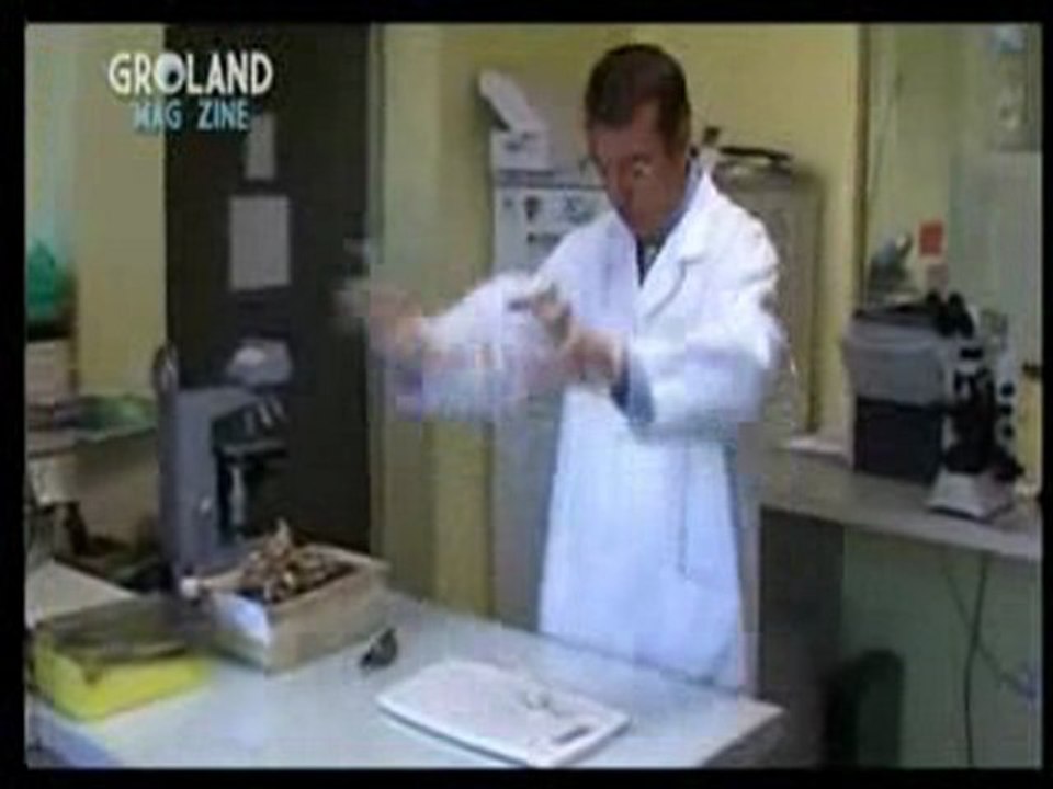 Groland Magzine : Test de la souris et de l'huitre