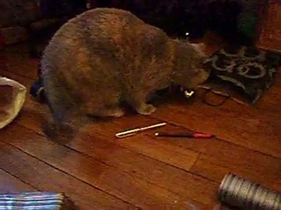 Bubble m'aide à faire les cadeaux