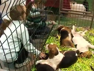 Salon ANIMALIA - Dreux 2009