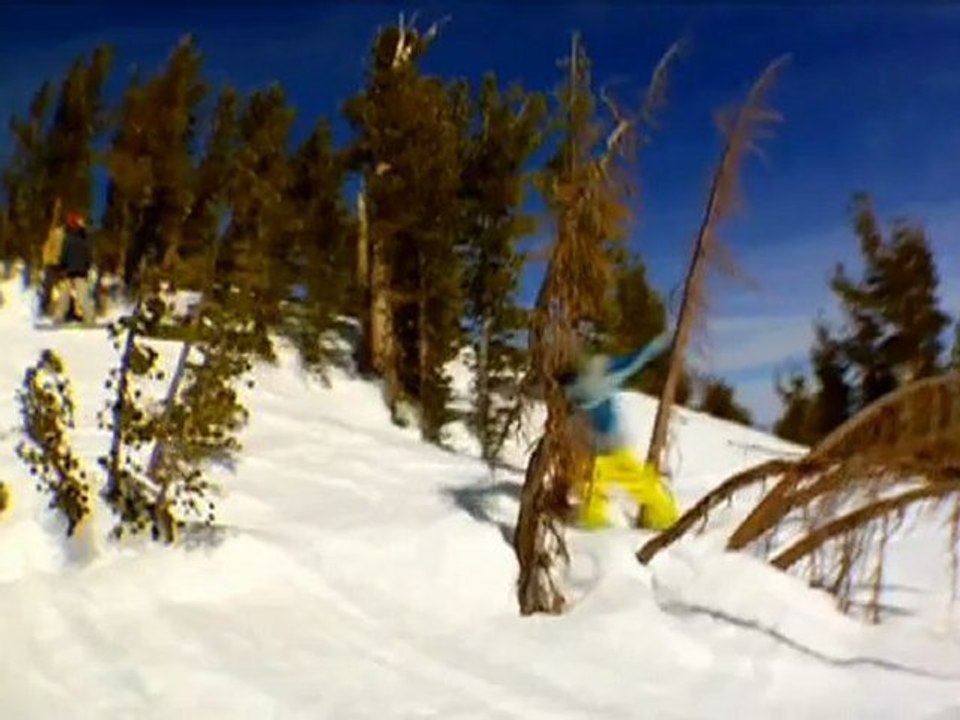 Technicolor Snowboard Bails  - Autmn Line