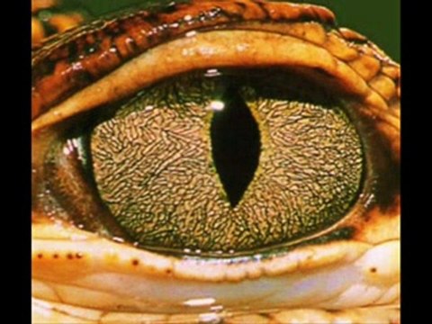 Soutien à Nordine et aux grévistes de la faim de GRDF