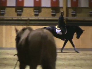 cheval dressage Emma