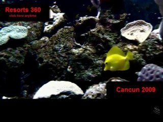 Resorts 360 Cancun Commercial