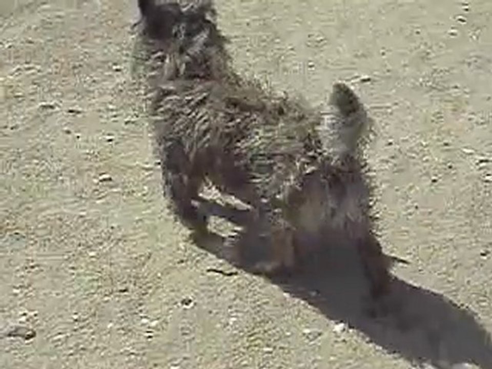 vidocq à la mer le 08 Aout