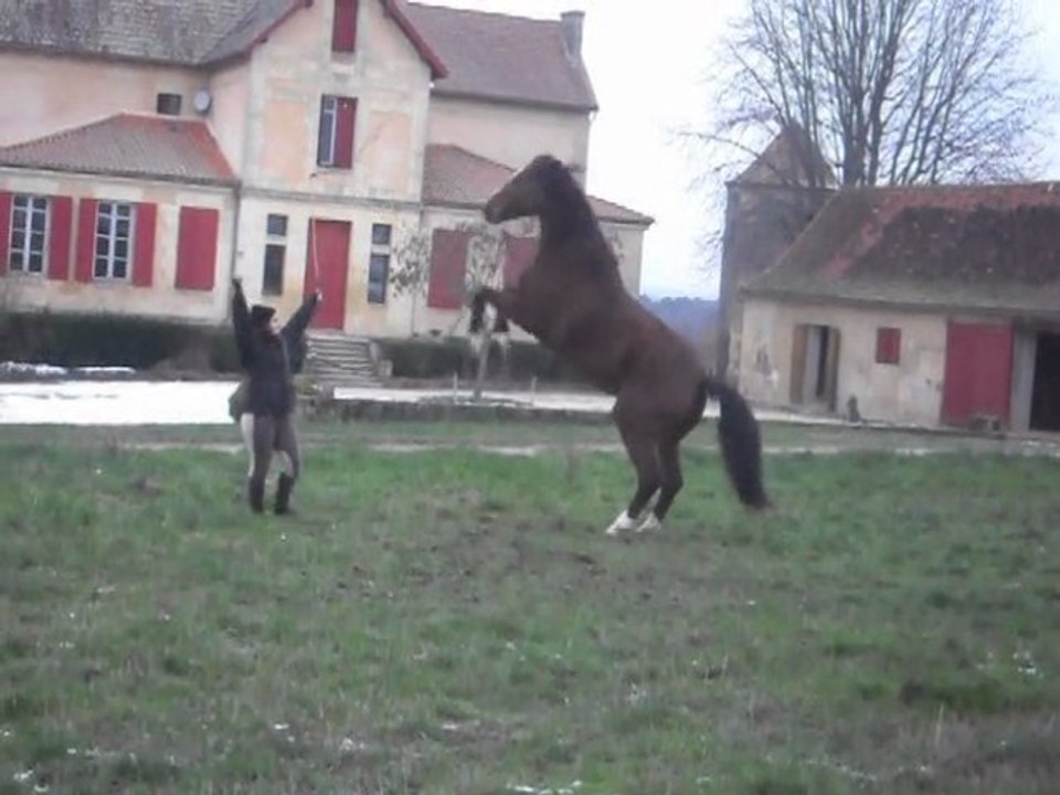 Samedi 19 Décembre