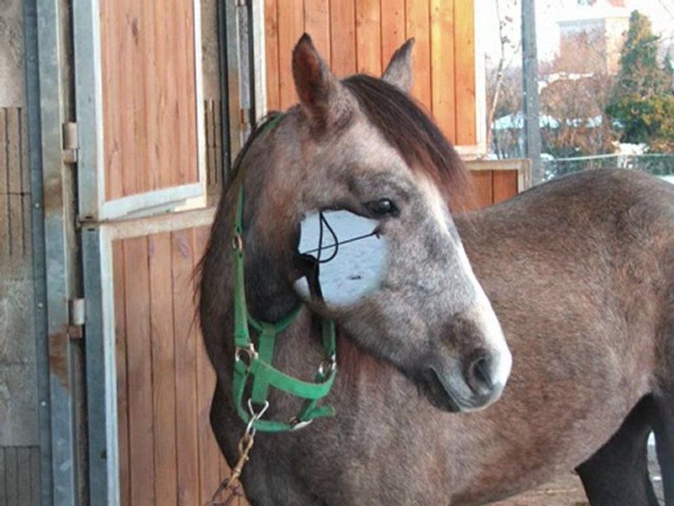Une belle petite journée avec mes amours de toujours