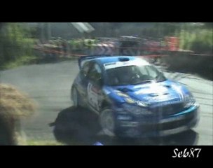 Championnat de France des rallyes 2009 by Planete-rallye.com / Seb87